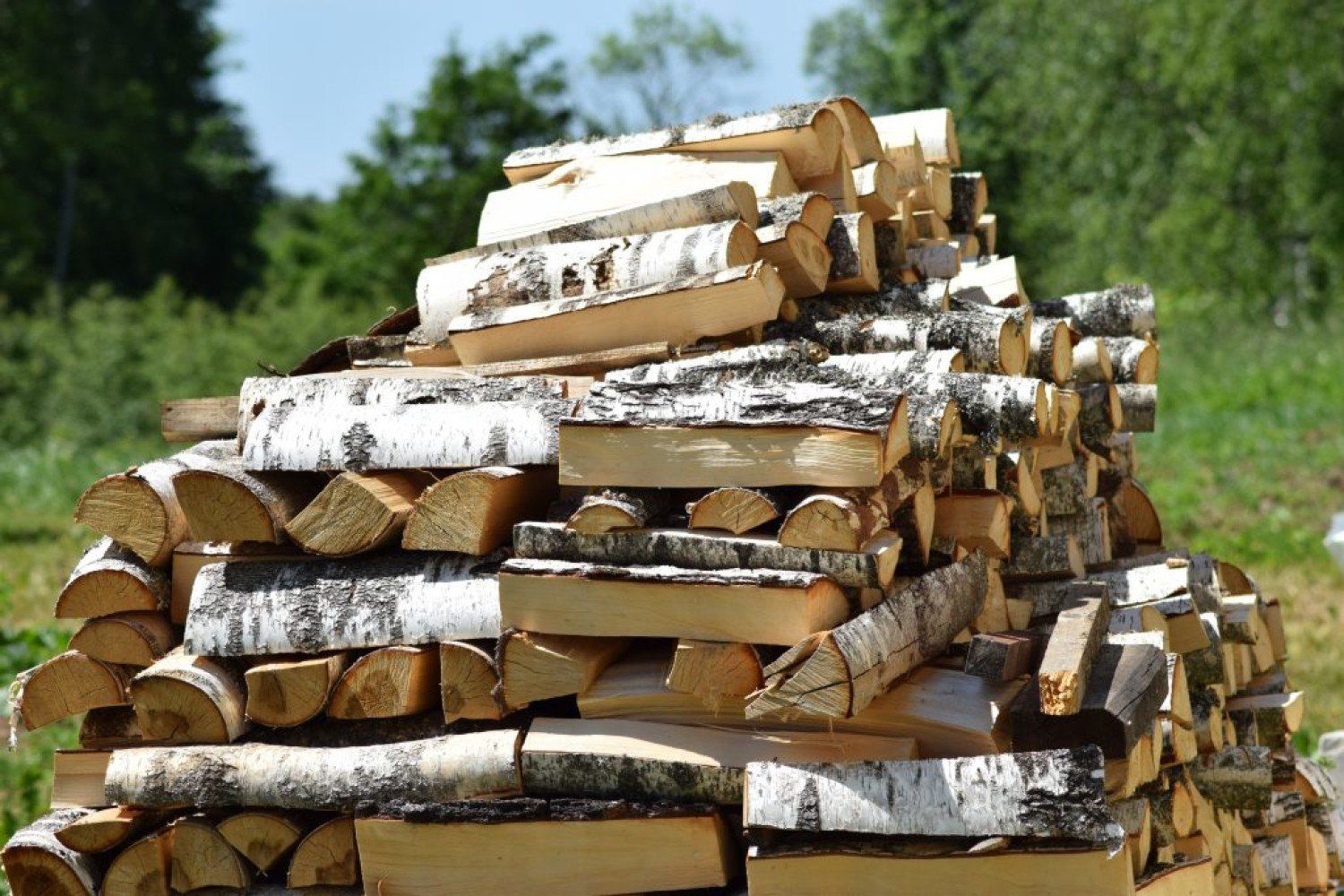 Купить дрова в новосибирске с доставкой. Дрова. Березовые дрова. Дрова береза. Дрова берёзовые колотые.